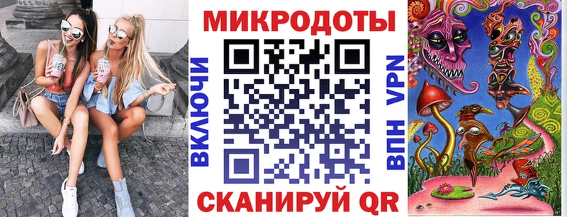 купить   Новосиль  Псилоцибиновые грибы GOLDEN TEACHER 